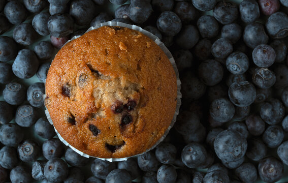 Delicious golden muffin with blueberries, healthy breakfast pastry, fruit dessert background, homemade bakery concept, top view