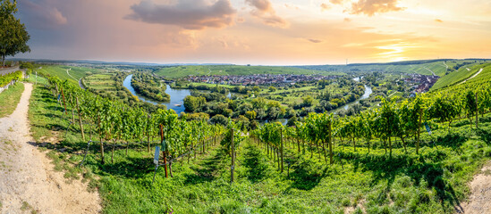 Naklejka premium Mainschleife, Weinberge, Volkach, Bayern, Deutschland 