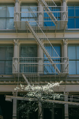 Fire escape and blooming tree in city street with modern buildings during daylight hours