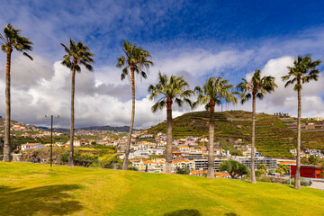 Fototapeta premium Picturesque seaside village of Camara de Lobos, Madeira island, background or wallpaper