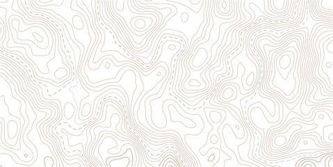 Vector geographic contour mounted map background.The stylized height of the topographic map contour in lines and contours isolated on transparent.  © AFROZAOPORNA