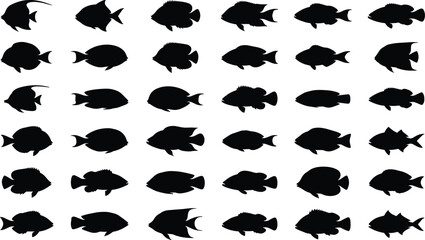 Comprehensive collection of black tropical reef fish silhouettes in various swimming poses, isolated on a white background for marine vector graphic design illustration. © IconicCreations