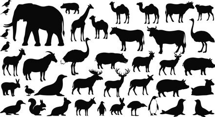 Fototapeta premium Comprehensive collection of diverse black wildlife animal silhouettes featuring elephant, giraffe, camel, and deer, isolated on a white background for vector graphic design illustration.