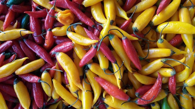 Pimenta/Pepper
