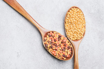 Wooden spoons filled with colorful lentils on a gray concrete surface, showcasing a variety of lentil types including red, yellow, and brown lentils