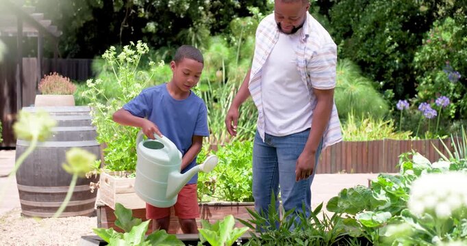 African American father and son starting pouring mint watering can at planter, learning gardening