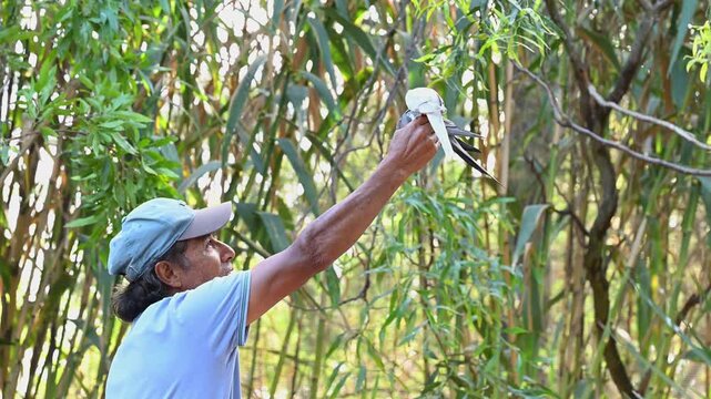 Adult man wearing a cap with a cheerful expression holding a cockatiel in his hand against a background of green bushes