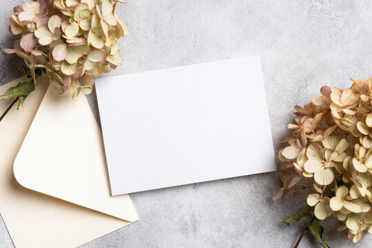Blank invitation or greeting card mockup with an envelope and dried hydrangea flowers arranged on a textured gray surface for design purposes