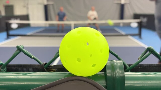Pickleball point
