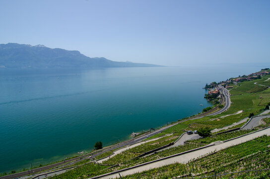 Lavaux Vineyards and Lake Geneva Panorama