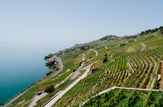 Lavaux Vineyards and Lake Geneva, Switzerland
