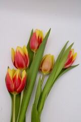 bouquet of red and yellow tulips 