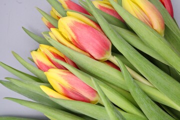 bouquet of colorful tulips