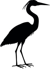 Obraz premium Black silhouette of grey heron (Ardea cinerea) isolated on white background