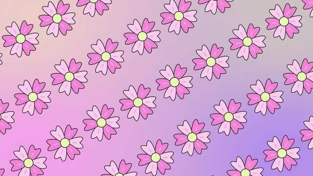 Seamless floral pattern with pink cosmos flowers on a pastel purple gradient background animation. Repeating spring flower wallpaper with cute pink blossoms and petals for a feminine backdrop.