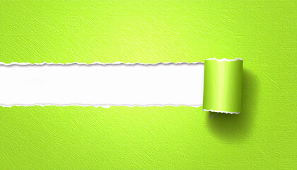 Bright green paper torn open to reveal a white background with a rolled edge