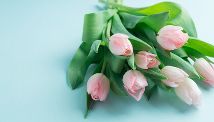 Soft pink tulips with green leaves arranged on a light blue background, elegant spring floral composition