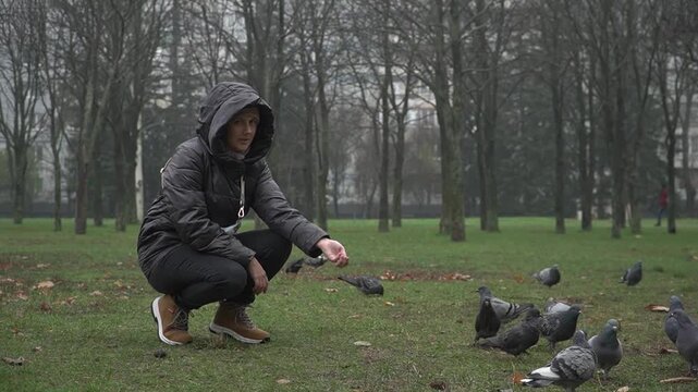 A girl in a black hooded jacket feeds pigeons with her arm outstretched. The flock doesn't approach. She looks disappointedly at the camera and spreads her arms. It's a rainy, cold autumn day.