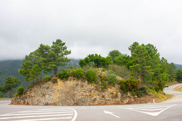 Mountain road curve with trees and rocky hillside under cloudy sky