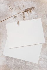 Two sheets of watercolor paper with deckle edges placed on a textured surface alongside a dried grass stem, showcasing natural materials and artistic potential