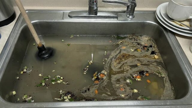 A dirty sink with a plunger in it