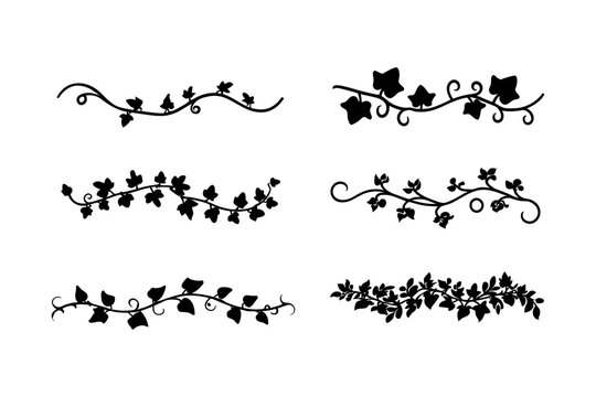 Set of black floral vine silhouettes isolated on transparent background