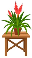 A vibrant, potted plant with spiky red flowers sits atop a simple wooden table, against a white background