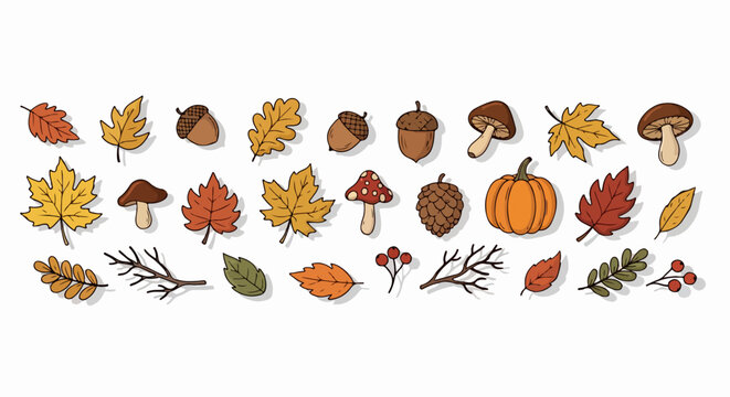 Cole&ccedil;&atilde;o vibrante de elementos outonais desenhados &agrave; m&atilde;o, incluindo folhas coloridas, ab&oacute;boras, cogumelos e bolotas, perfeita para designs de temporada.
