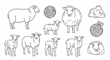 白い背景に描かれた、さまざまなポーズの羊、子羊、毛糸玉、そしてふわふわした雲のような毛の形を含む、家畜の羊とその製品を表すベクター線画イラストコレクション。