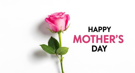 Fototapeta premium Celebrating mother's day with love and beautiful pink rose flowers