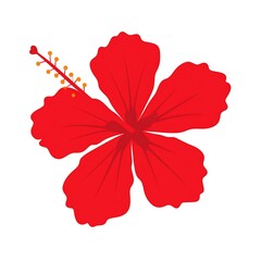 A vibrant, simplified illustration of a hibiscus flower with bright red petals and a contrasting yellow stamen