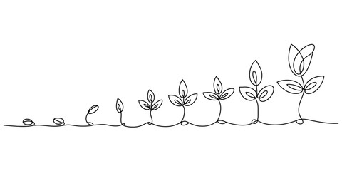 Minimalist continuous line art illustrating the sequential growth stages of a small plant seedling Vector, illustration
