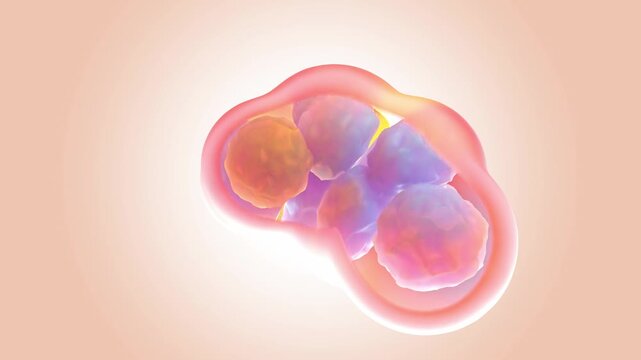 Looping molecular cell background. Busy cute colorful cell are merging or breaking out of their coverings. Abstract background for video about medical and scientific. 3D Render.