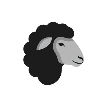 Black Sheep Head Illustration Side View.