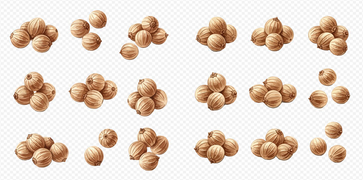 Set of various white peppercorns isolated on a transparent background, showcasing different arrangements and quantities of the spice.