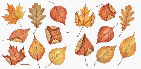 Set of colorful autumn leaves in various shapes and shades, perfect for seasonal designs and backgrounds.