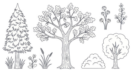 Collection of Hand-Drawn Trees, Plants, and Grasses for Nature Design © ati