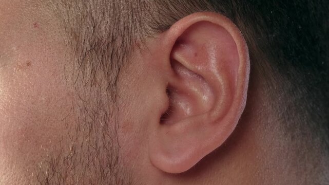 Close up video focusing on a man's left ear as he demonstrates his unique ability to wiggle and move it voluntarily.
