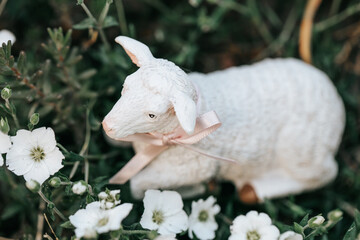 Obraz premium lamb figurine with pink ribbon placed among delicate spring flowers in natural light. Symbol of Easter, innocence and springtime renewal