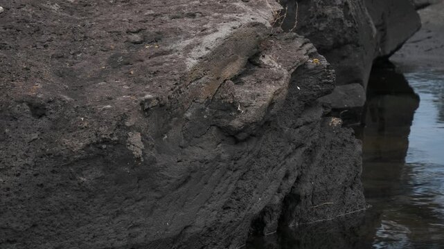 静かな入り江の岩礁地帯