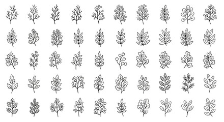 A collection of various leaves illustrated in a grid pattern showcasing different types and shapes from a top-down viewpoint © charli