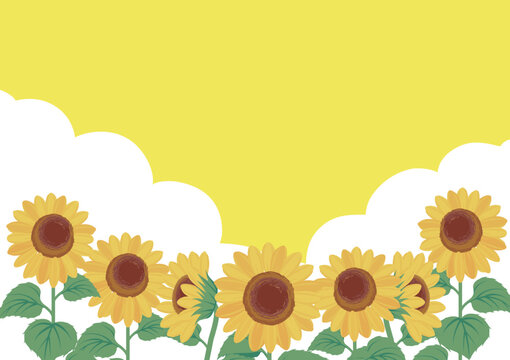 Panorama Background of Sunflowers, Blue Sky, and Clouds. Image Board for Nature, Tourism, and Festivals