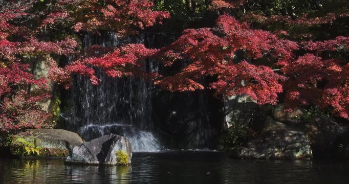 Autumn trees nearly covering small waterfall dropping into beautiful pond - locked off shot