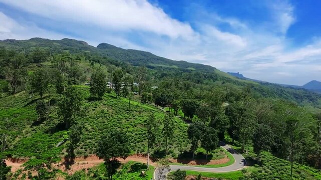 Aerial Beauty of Sinharaja Rainforest, UNESCO world heritage site and Beverly Tea Estate, Sri Lanka