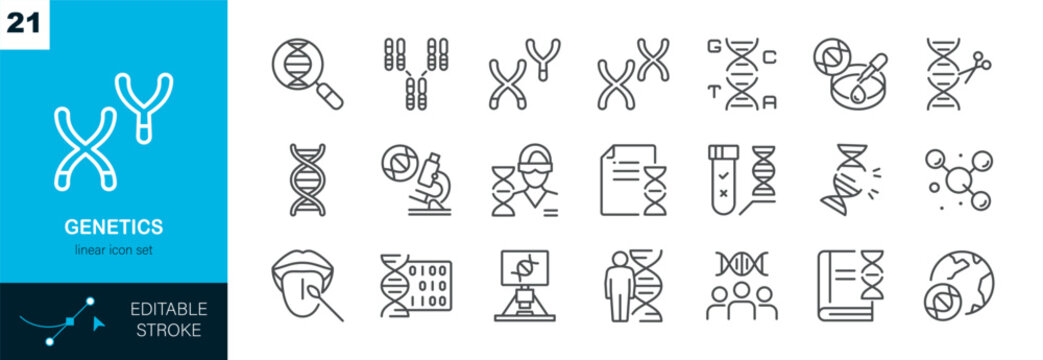 Genetics Linear Icon Set with DNA, Genes, Genome, Chromosomes, Heredity, Inheritance, Genotype, Phenotype, Family Ancestry, Research, Editable Outline Vector