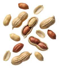 Obraz premium Peanuts and Peanut Shells isolated white background isolated on a transparent background