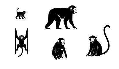 Minimal monkey silhouette primate vector icon set © MdMiraz