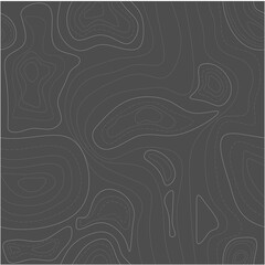 Gray Seamless Topographic Contour Line Pattern Minimal Background