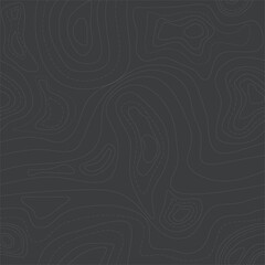 Gray Seamless Topographic Contour Line Pattern Minimal Background