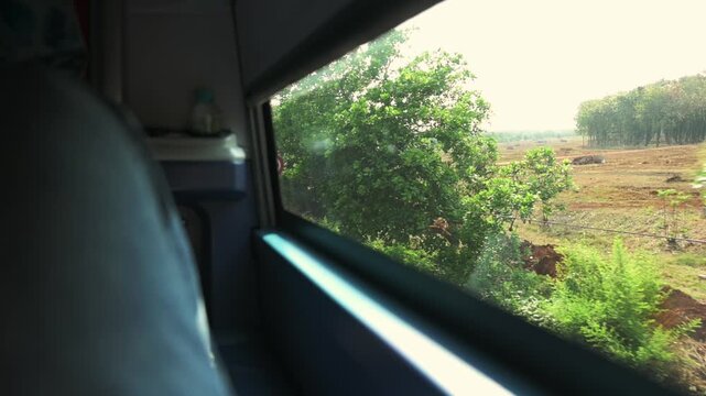 Sleeper Bus Bus Window Landscape With Motion. Blurred Natural Elements Viewed From Inside Moving Bus. Outside Trees And Poles Seen Through Window With Warm Midday Sunlight Illuminating Scene